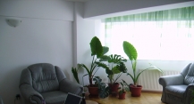 Apartament BAIA MARE