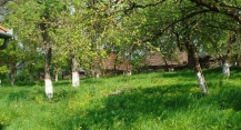 gradina