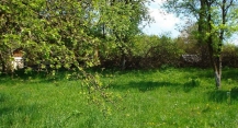 gradina casa