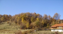 Teren BAIA MARE