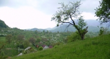 teren