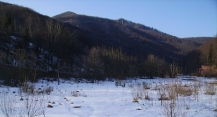 terenbli