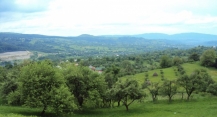 Teren SURDESTI