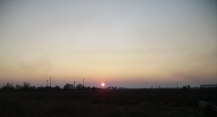 tersar