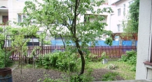 Vila BAIA MARE