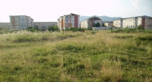 ttepes