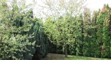 casa bra<br /> <span class='imgTitle'>Rodica Chifor - <span class='imgPhone'>0728.931.136</span></span>