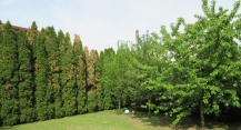 casa bra<br /> <span class='imgTitle'>Rodica Chifor - <span class='imgPhone'>0728.931.136</span></span>