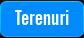 Terenuri baia mare
